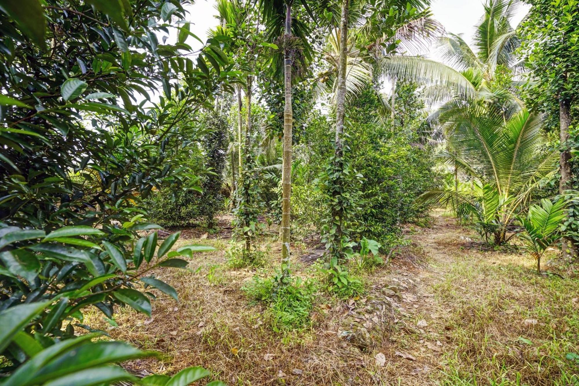 Spot On Shalom Palace Residency Neriyamangalam Exterior photo